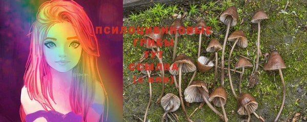 прущая мука Тавда